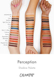 Colourpop Perception (Pressed Powder Shadow Palette)